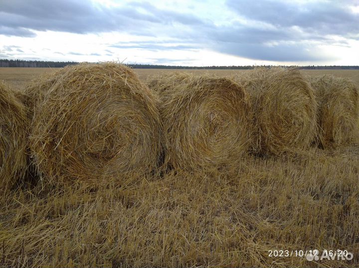 Солома в мешках