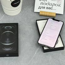 iPhone 12 Pro Max, 256 ГБ