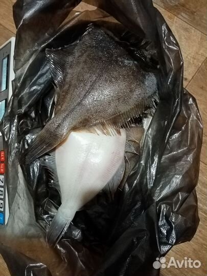 Рыба свежемороженая