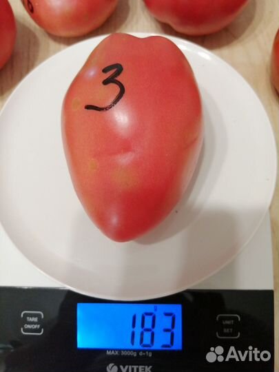 Семена коллекционных томатов и перцев