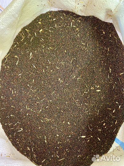 Рапс, Канареечное семя