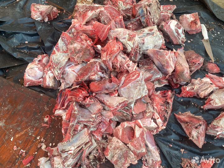 Мясо говядина для собак