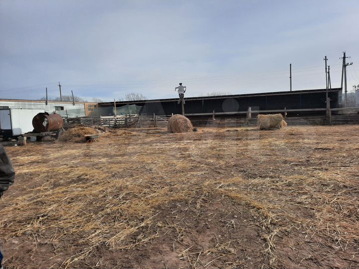 Дача 400 м² на участке 100 сот.