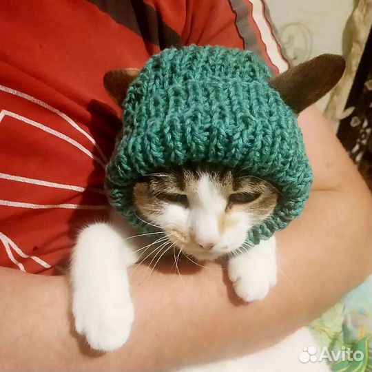 Шапка для собаки