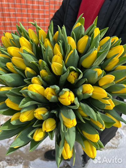 Тюльпаны к 8 марта