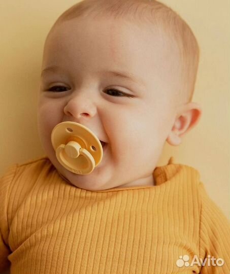 Соска бибс bibs новая