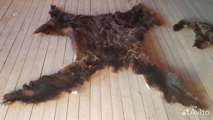 Шкура медведя имитация (3 шкуры)