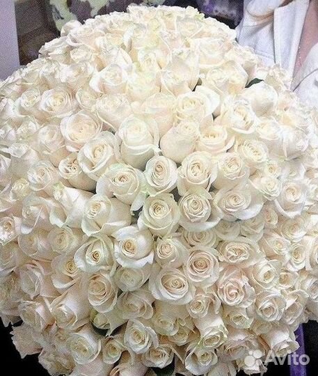 Розы высокие Доставка цветов