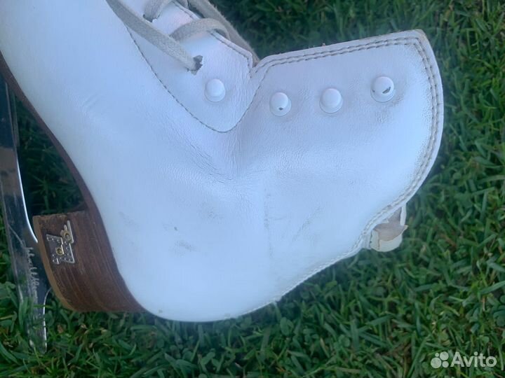 Фигурные коньки risport 235+лезвия golden