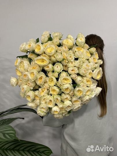 Букет из кустовых пионовидных лимонных роз