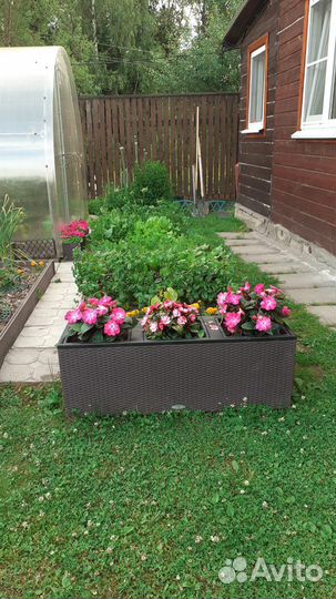 Напольное кашпо с автополивом Lechuza