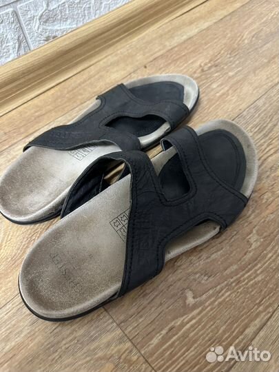 Шлепанцы мужские chester