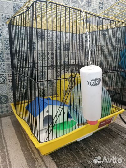 Клетка для хомяка