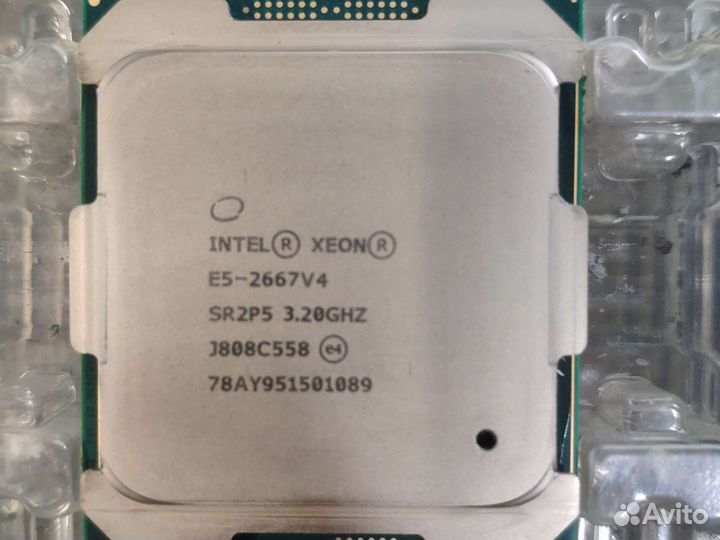 Intel xeon e5 2667v4