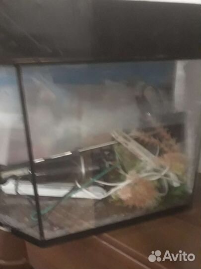 Аквариум