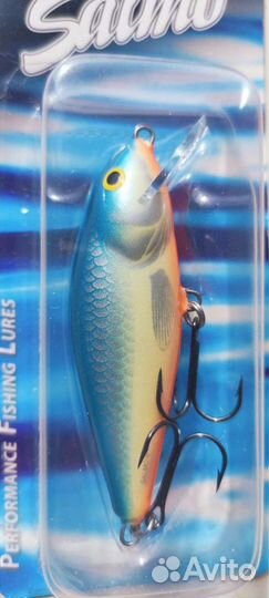 Salmo perch 8F-PB