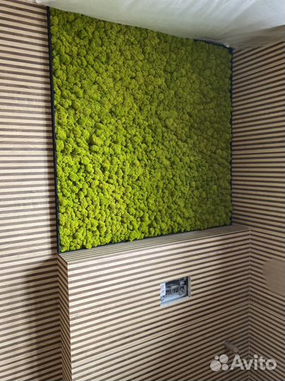 Вертикальное озеленение