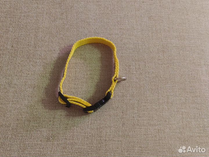 Амуниция для собак