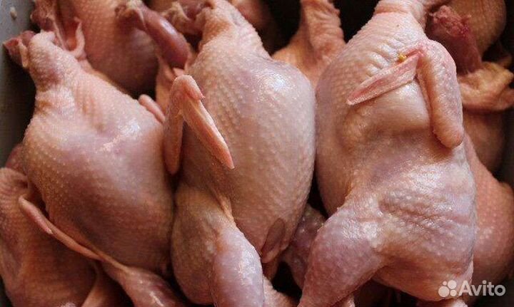 Мясо перепелки