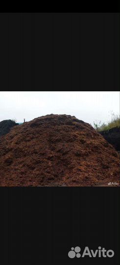 Конский перегной