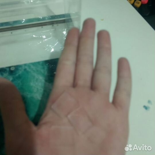 Муравьиная ферма