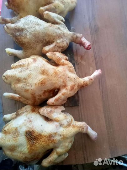 Домашнее мясо индейка бройлер