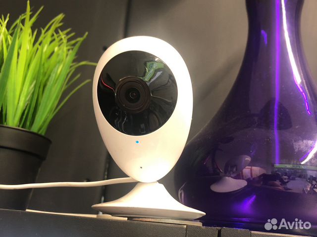 Web камера ростелеком