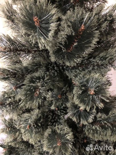 Ель (елка новогодняя, сосна)