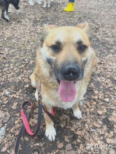 Меня обижали