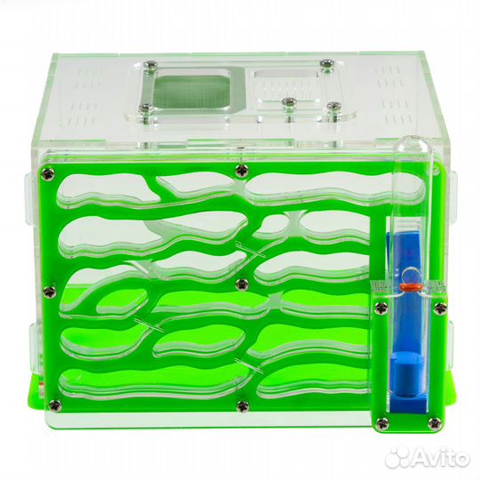 Очень красивые муравьиные фермы комплекты