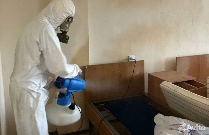 Дезинфекция клопы, тараканы,клещ, ос