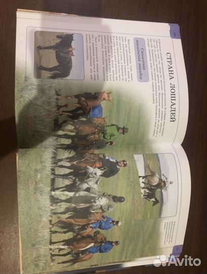 Книга про лошадей