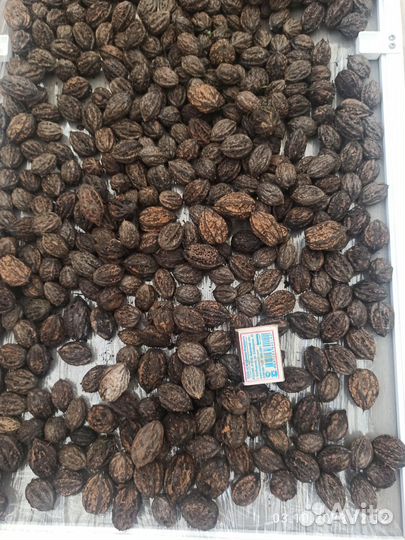 Природный материал (орехи) для поделок