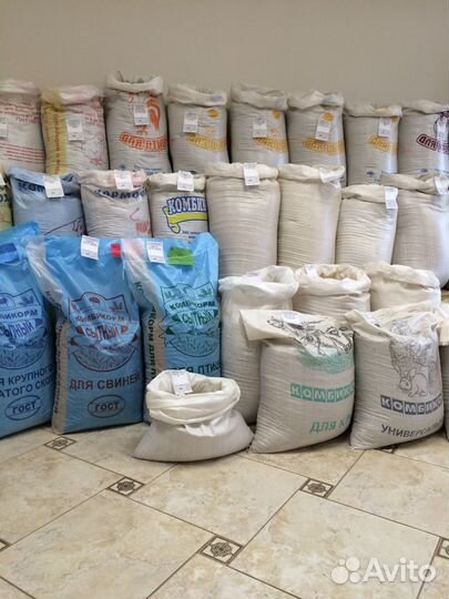 Пшеница,ячмень,овес,кукуруза