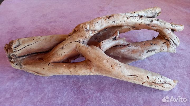 Дрифтвуд коряга для аквариума, террариума