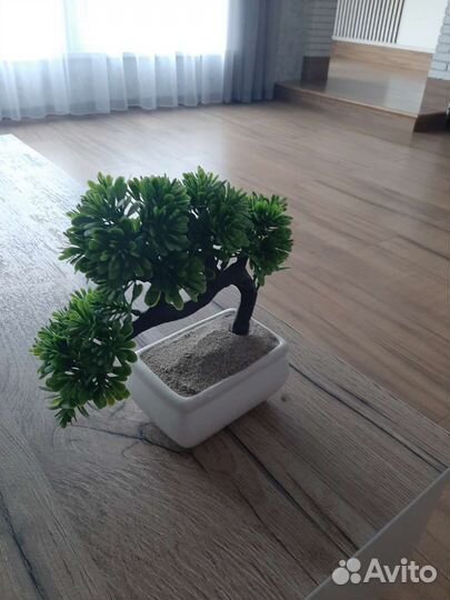 Бансай искуственый