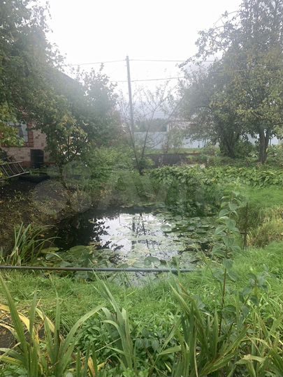 Участок 6,3 сот. (СНТ, ДНП)