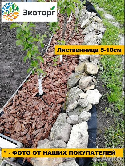 Мульча лиственницы древесная крупная