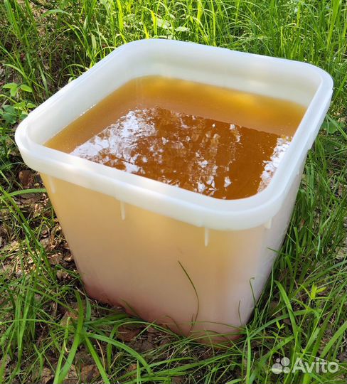 Оптом мёд натуральный с Алтая min 16kg