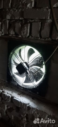 Оборудования птиц