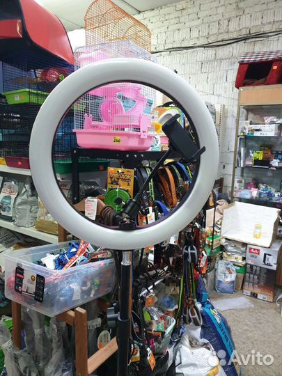 Селфи подсветка