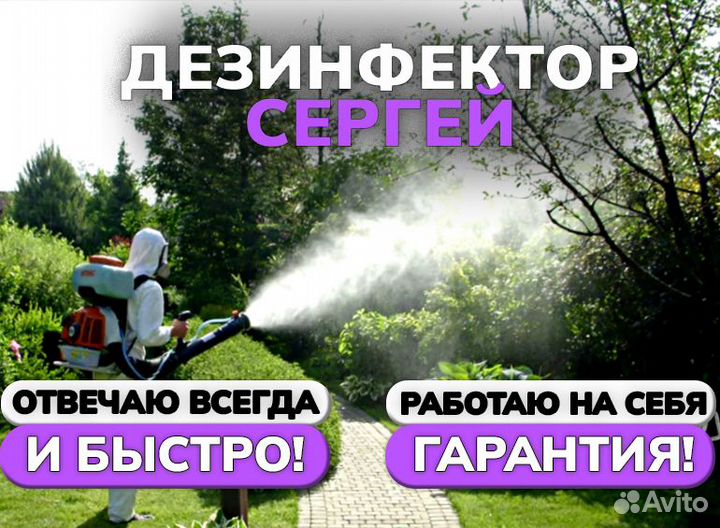Клопов тараканов клещей комаров борщевика плесени