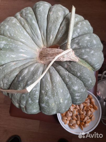 Семена тыквы 