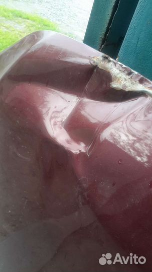 Капот LADA granta