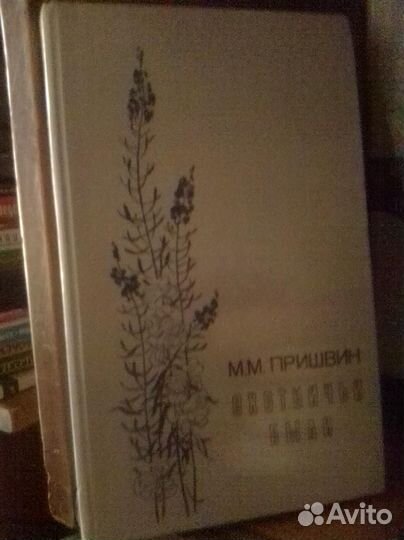 Детская литература