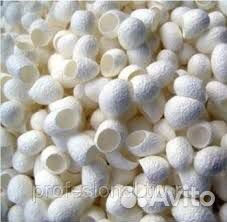 Коконы тутового шелкопряда для ухода за кожей лица