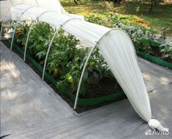 Парник тоннельного типа