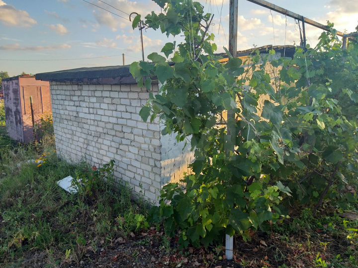 Участок 16 сот. (СНТ, ДНП)