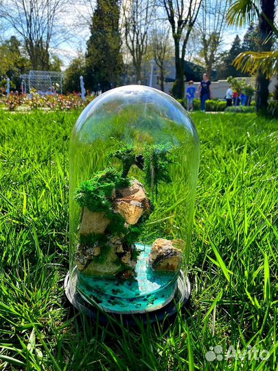 Моссариум цветы подарок