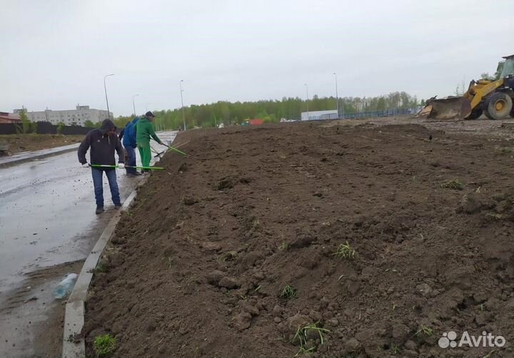 Разнорабочие на копку. Благоустройство участка